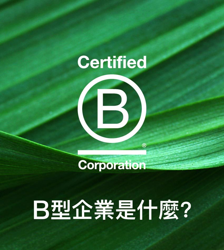 大醫生技B型企業