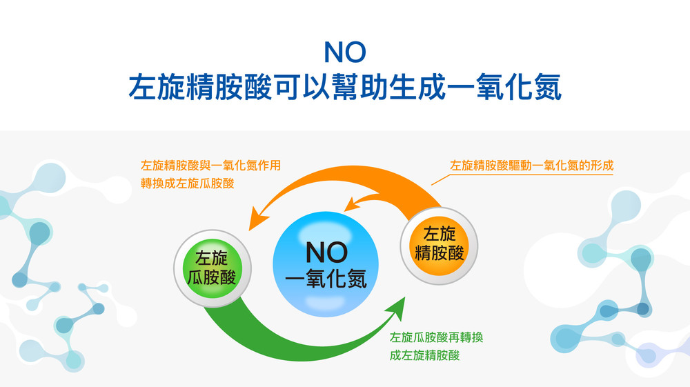 NO左旋精胺酸可以幫助生成一氧化氮