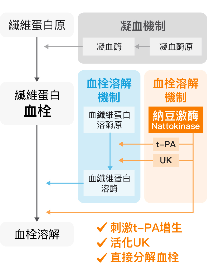 納豆功效