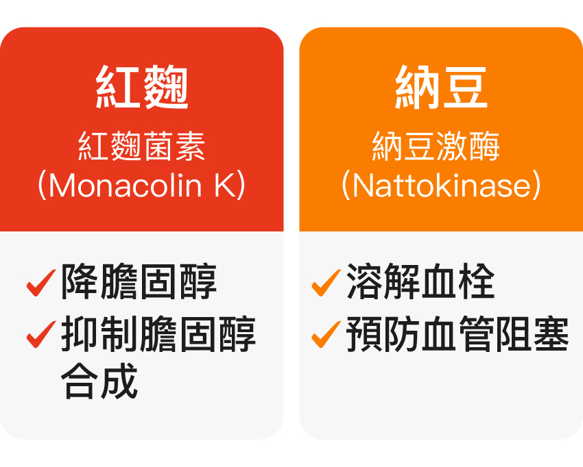 紅麴納豆比較