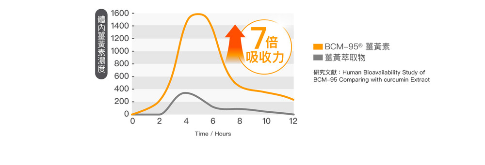 BCM-95®口服後的生物吸收率，為一般薑黃萃取物的7倍