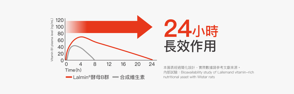 24小時長效作用